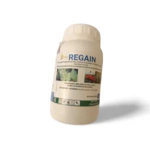 Mazao Regain