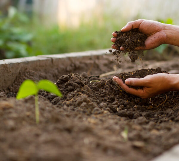 Soil Testing